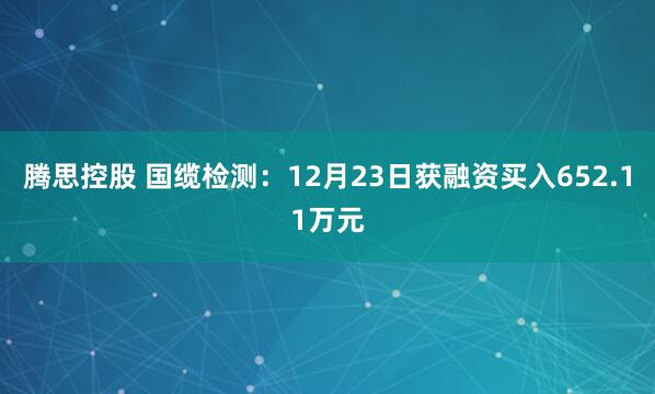 腾思控股 国缆检测：12月23日获融资买入652.11万元