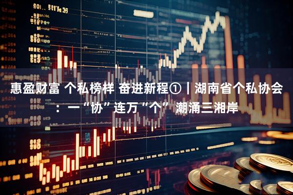 惠盈财富 个私榜样 奋进新程①｜湖南省个私协会：一“协”连万“个” 潮涌三湘岸